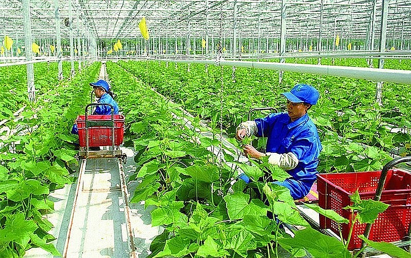 Chuyển đổi xanh của Việt Nam đối diện với thách thức đa chiều