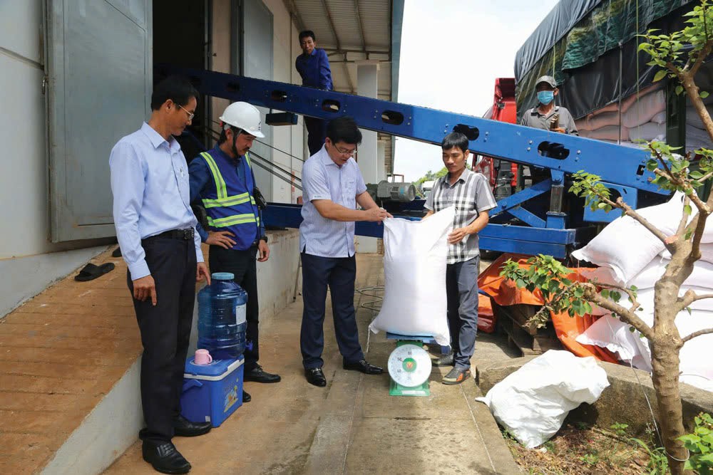 Ngành Dự trữ Nhà nước tập trung đấu thầu mua 80.000 tấn thóc