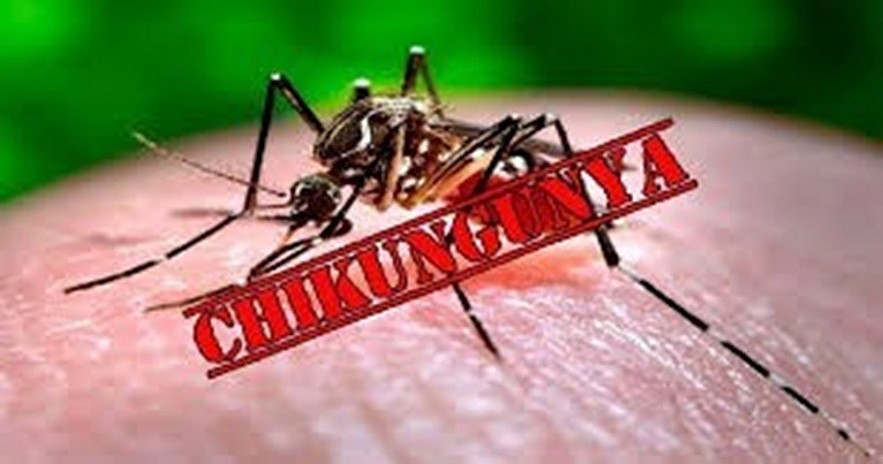Việt Nam hiện chưa có ca mắc bệnh Chikungunya
