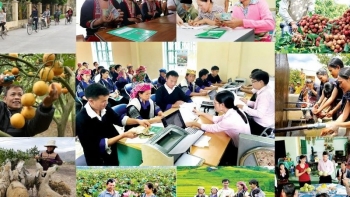 Sửa đổi, bổ sung quy định về quản lý và sử dụng nguồn vốn ngân sách địa phương ủy thác qua Ngân hàng Chính sách xã hội