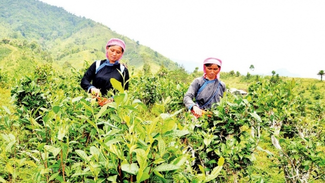 Lào Cai: Kinh nghiệm, hiệu quả truyền thông giảm nghèo bền vững