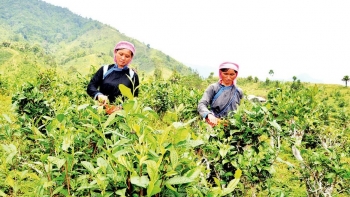 Lào Cai: Kinh nghiệm, hiệu quả truyền thông giảm nghèo bền vững