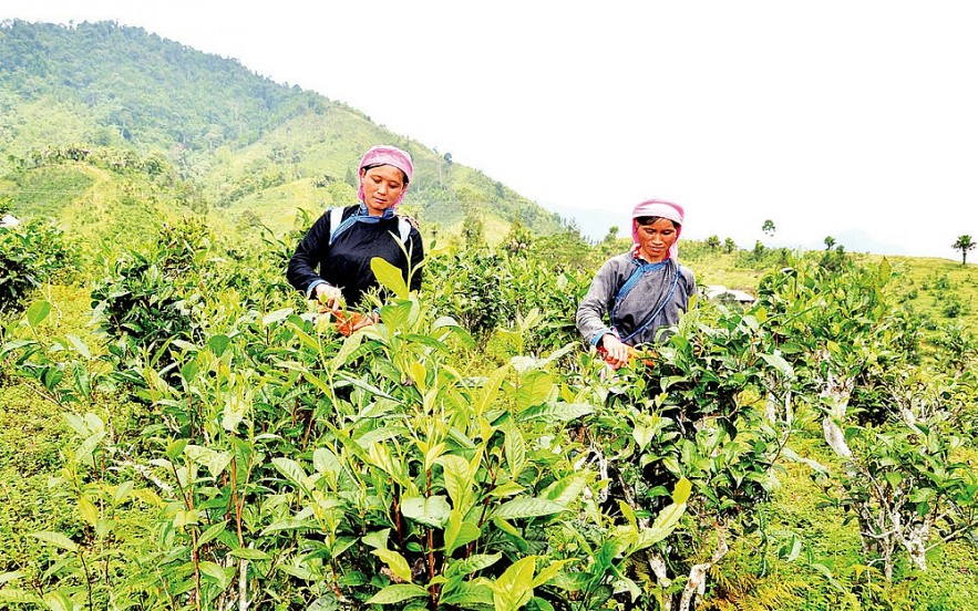 Lào Cai: Kinh nghiệm, hiệu quả truyền thông giảm nghèo bền vững