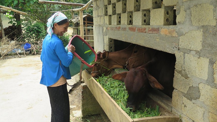 Lào Cai: Năm 2025, phấn đấu giảm trên 2.000 hộ nghèo