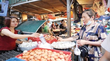 Hỗ trợ tối đa để hộ kinh doanh không lúng túng trong sử dụng hóa đơn điện tử