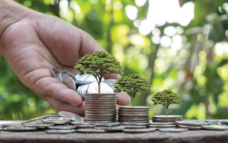Bài 2: Thực tiễn triển khai vốn khí hậu tại Việt Nam Bài 2: Thực tiễn triển khai vốn khí hậu tại Việt Nam