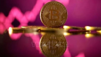 Đồng bitcoin xuống mức thấp kỷ lục