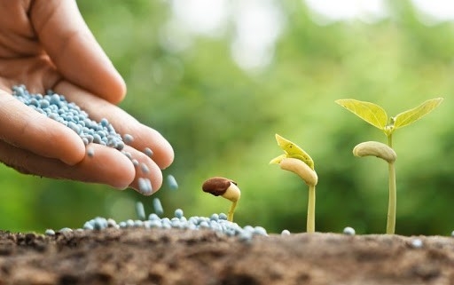 Phát triển kinh tế tư nhân: Gắn kết mục tiêu tăng trưởng và bảo vệ môi trường