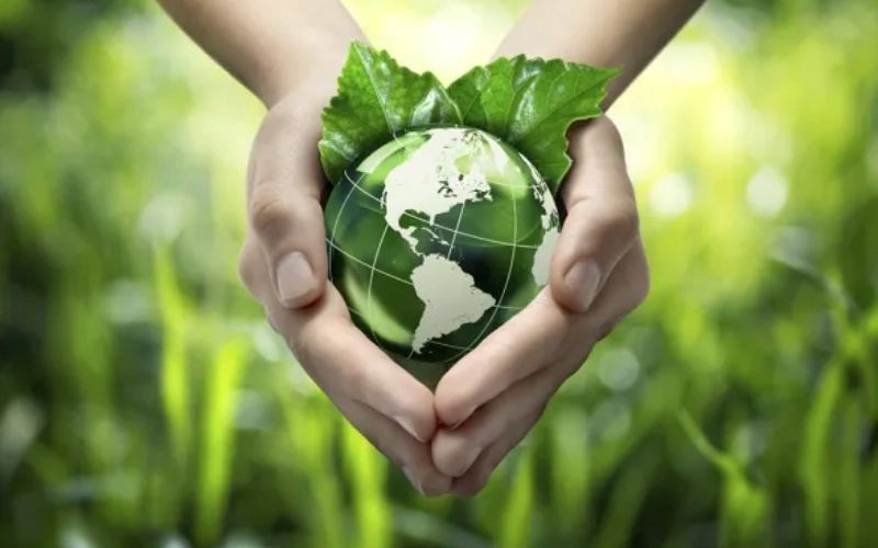 Ưu tiên sản phẩm xanh, thân thiện môi trường