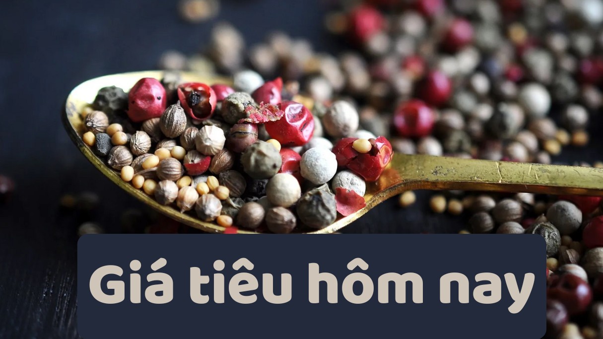 Ngày 30/8: Giá tiêu liên tục tăng cao, cà phê quay đầu giảm mạnh