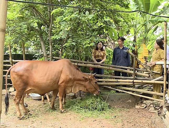 Thanh Hóa vượt khó thực hiện mục tiêu giảm nghèo bền vững