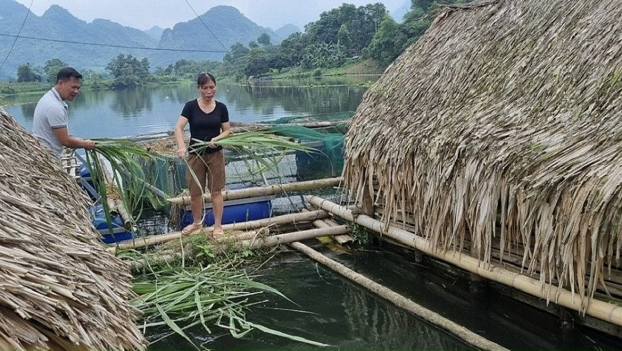 Đồng vốn chính sách giúp gần 80.000 hộ dân Thanh Hoá l vượt qua ngưỡng nghèo