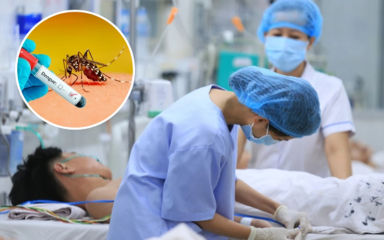 Cả nước ghi nhận hơn 21.600 ca mắc sốt xuất huyết trong tháng 8