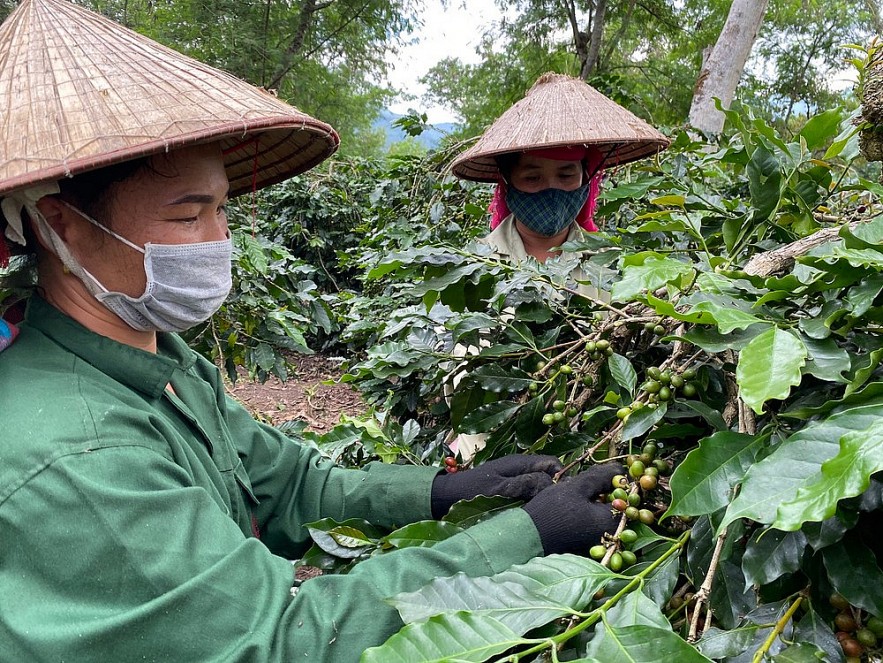 Điện Biên điểm sáng phát triển kinh tế, giảm nghèo bền vững