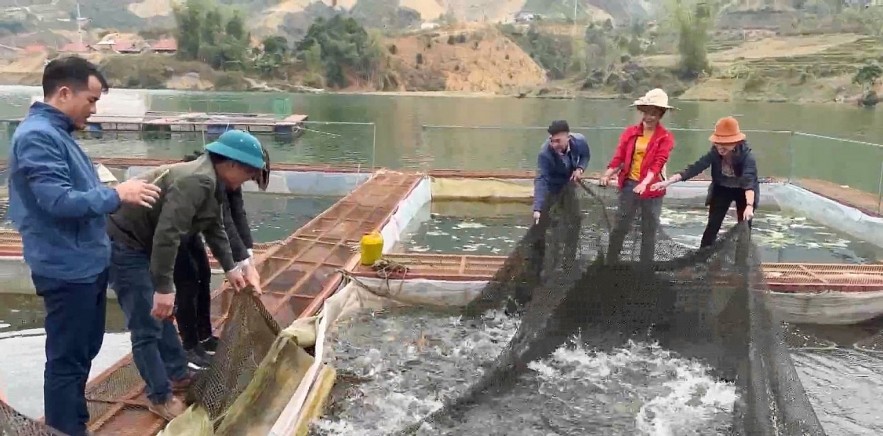 Nguồn vốn chính sách xã hộ giúp Điện Biên tự tin giảm nghèo bền vững