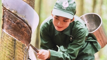 Ngày 4/9: Giá cao su trên các sàn giao dịch châu Á đồng loạt tăng