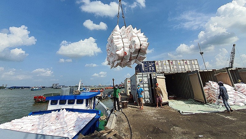 Ngày 6/9: Giá gạo trong nước giảm nhẹ, xuất khẩu giữ vững ở mốc cao