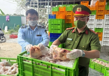Ngăn chặn hàng chục tấn gà không đảm bảo chất lượng chuẩn bị tuồn ra thị trường