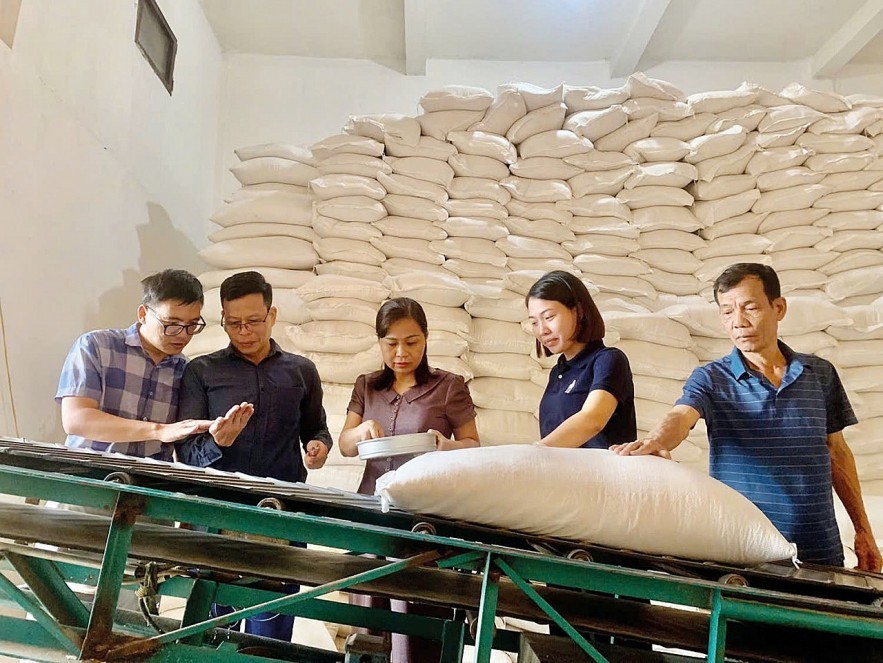 Xuất cấp gần 46.966 tấn gạo dự trữ quốc gia hỗ trợ học sinh học kỳ I năm học 2025 -2026