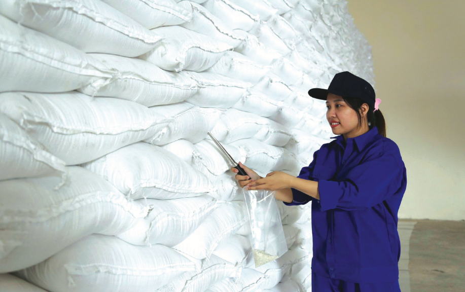Ngành Dự trữ Nhà nước triển khai xuất cấp gạo hỗ trợ học sinh, học viên