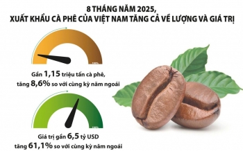 Xu hướng tăng giá cà phê vẫn là chủ đạo