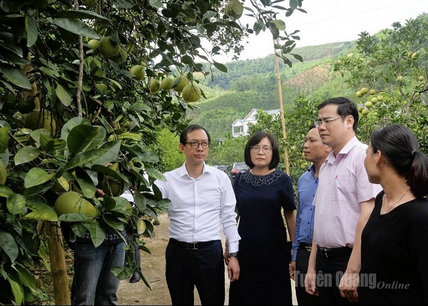 Tuyên Quang:   Ðể người dân thụ hưởng tốt nhất tín dụng chính sách