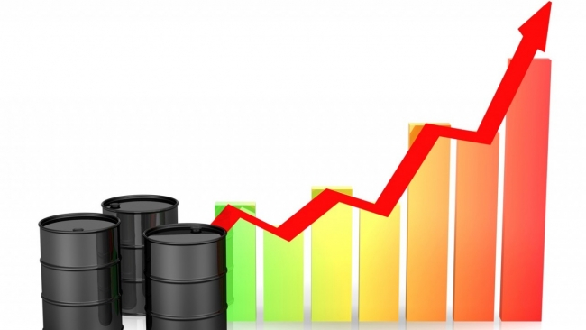 Ngày 13/9: Giá dầu thế giới đảo chiều tăng gần 2%