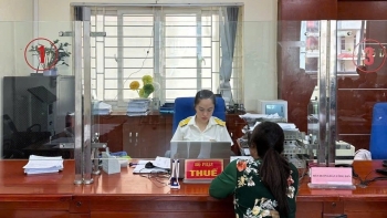 Thuế tỉnh Cao Bằng thu ngân sách 8 tháng tăng hơn 38% so với cùng kỳ