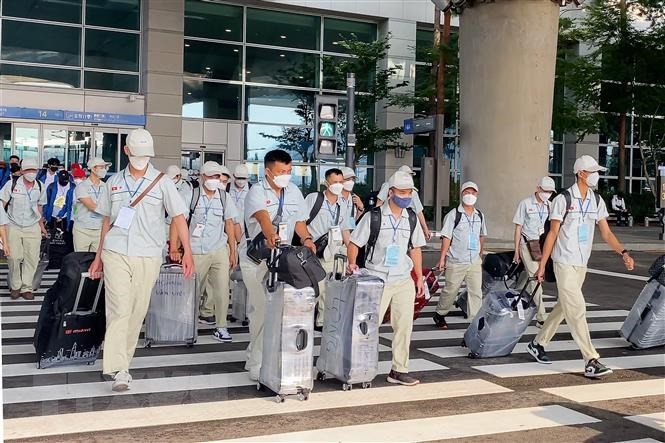 Cắt giảm nhiều thủ tục về kinh doanh dịch vụ việc làm và đưa lao động đi làm việc ở nước ngoài