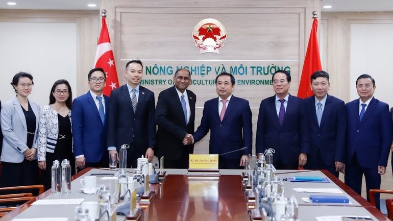 Việt Nam, Singapore hợp tác chặt chẽ trong lĩnh vực thị trường carbon quốc tế