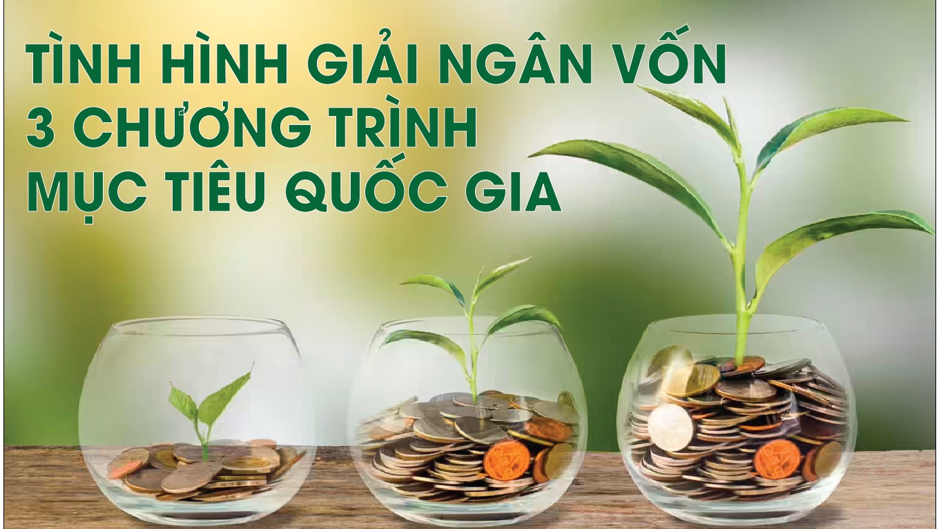Infographics: Giải ngân vốn 3 chương trình mục tiêu quốc gia ước khoảng 26.426 tỷ đồng trong 8 tháng năm 2025