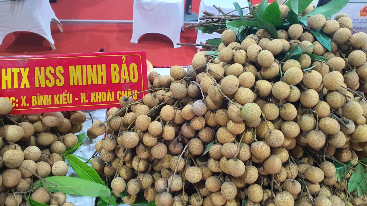 Hơn 60 gian hàng nông sản đặc sắc các vùng, miền hội tụ về Thủ đô
