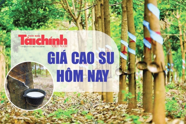 Ngày 22/9: Giá cao su trên các sàn giao dịch châu Á chìm trong sắc đỏ