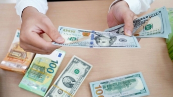 Tỷ giá USD hôm nay (22/9): Thế giới phục hồi, trong nước tăng nhẹ