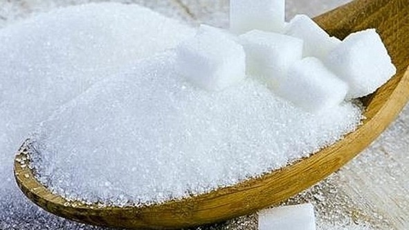 Tổ chức đấu giá phân giao hạn ngạch nhập khẩu 133.000 tấn đường năm 2025