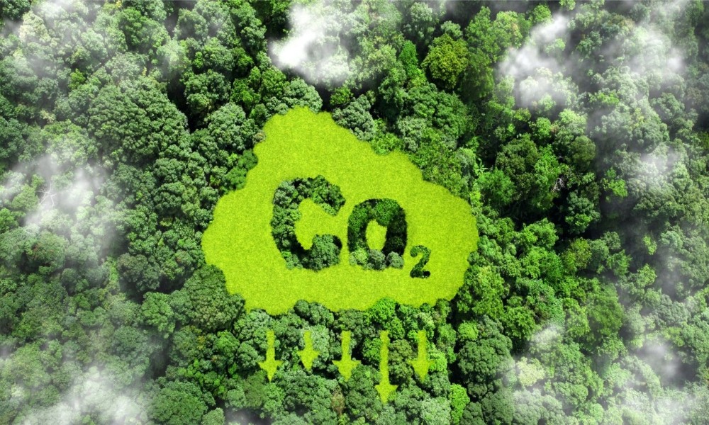 Lợi ích kép từ việc Việt Nam tham gia bán tín chỉ carbon