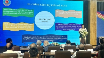 Luật Đầu tư kinh doanh ưu tiên thúc đẩy đầu tư, sản xuất