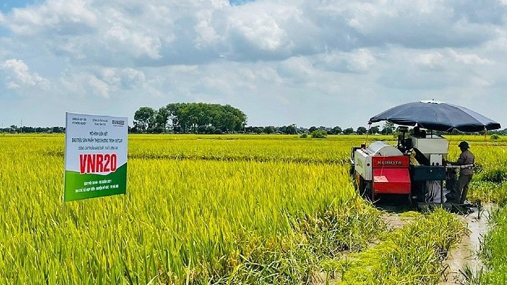 Cấp đăng ký Quỹ hợp tác xã địa phương trong 3 ngày làm việc