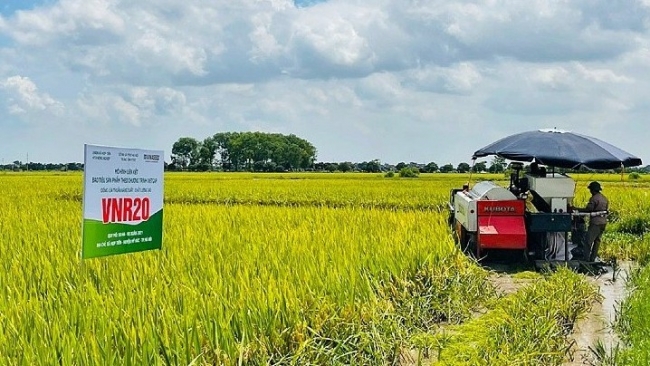 Cấp đăng ký Quỹ hợp tác xã địa phương trong 3 ngày làm việc