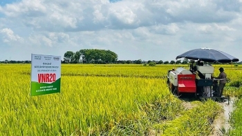Cấp đăng ký Quỹ hợp tác xã địa phương trong 3 ngày làm việc