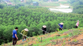 Quy định mới về phân bổ vốn phát triển kinh tế nông, lâm nghiệp bền vững