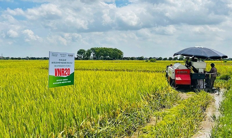 Cấp đăng ký Quỹ hợp tác xã địa phương trong 3 ngày làm việc