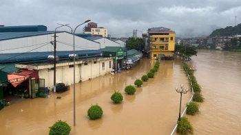 Bão số 10 và mưa lũ khiến 122 người thương vong, 137.140 nhà bị ngập, hư hỏng