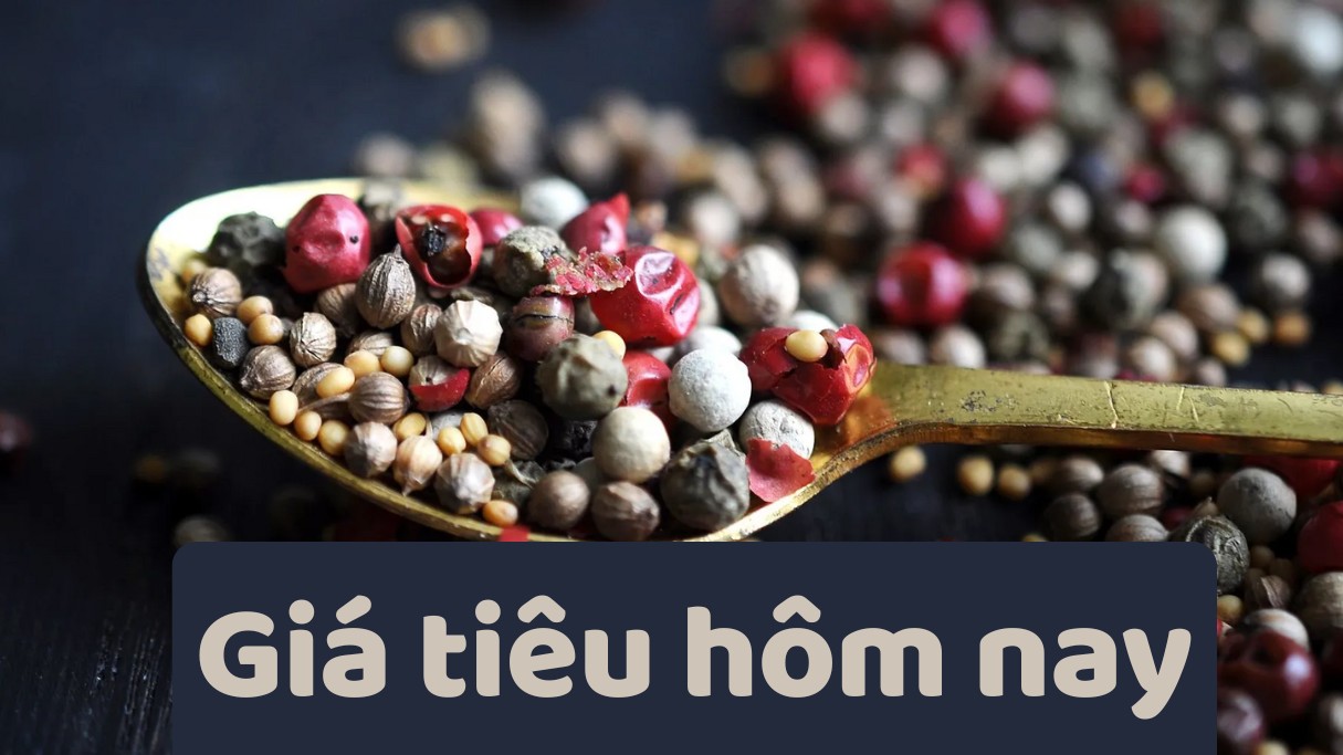 Ngày 1/10: Giá tiêu sụt giảm mạnh, cà phê giao dịch ở mức 114.300 - 116.000 đồng/kg