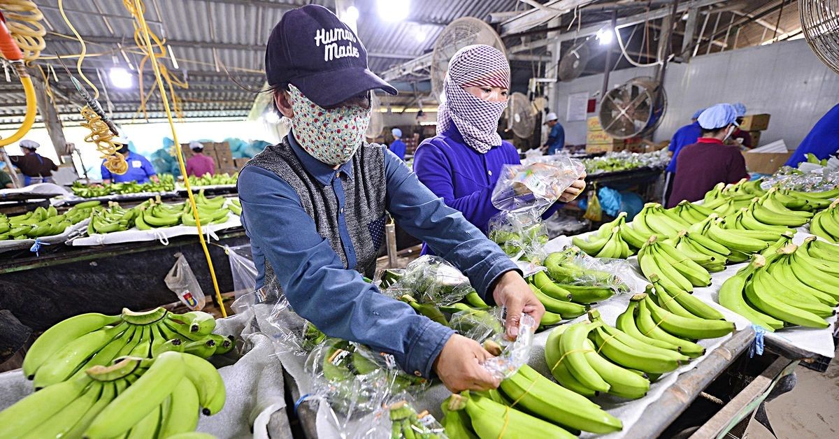 Hỗ trợ kinh phí bảo vệ thương hiệu cho nông dân và sản phẩm trong nước