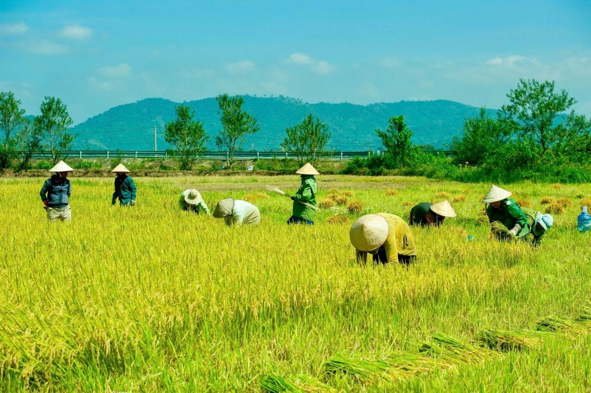 Hà Nội về đích trước thời hạn khi thực hiện mục tiêu "không còn hộ nghèo"