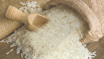 Ngày 3/10: Giá một số loại gạo nguyên liệu xuất khẩu tiếp đà giảm