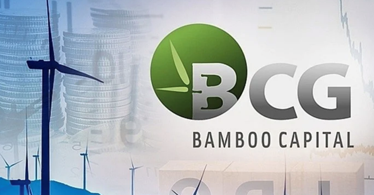 Cổ phiếu BCG và TCD bị đình chỉ giao dịch, động thái Bamboo Capital thế nào?