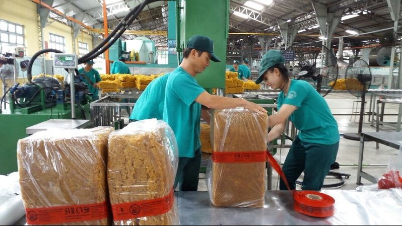 Ngày 4/10: Giá cao su trong nước ổn định, thế giới diễn biến trái chiều