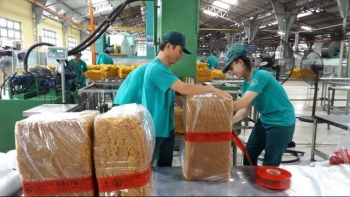 Ngày 4/10: Giá cao su trong nước ổn định, thế giới diễn biến trái chiều